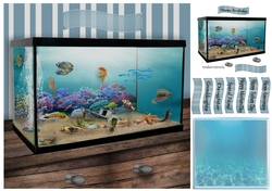 fish tank