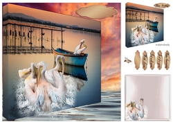 pelicans