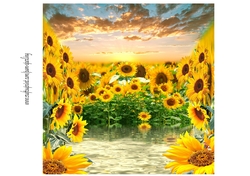 sunflowers