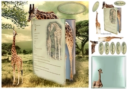 book on giraffes