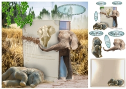 book on elephants