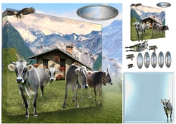 swiss cows