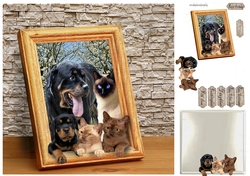 mixed family