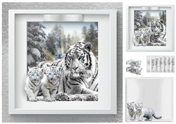 white tigers