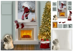 Santa has arrived
