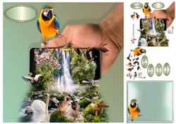 birds at the falls