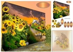 through the sunflowers