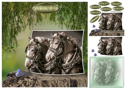 shire-horses