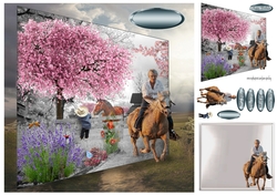 cherry blossom ranch