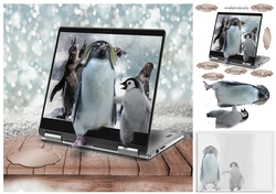 penguins