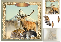 stag family 