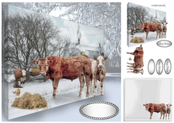 winter cows
