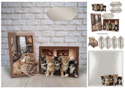 kittens in frames