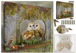 loving owls