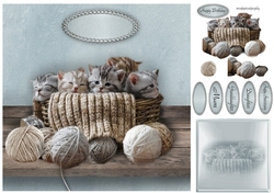 kittens and wool