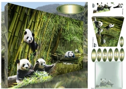 pandas lunch