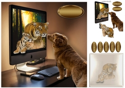 wildlife on the computer