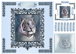 white tiger