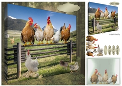 the chickens