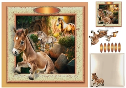 out of the frame foal