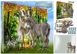 donkey foals