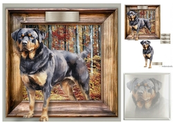 Rottweiler