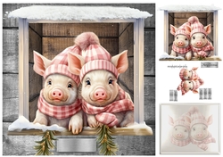 winter pigs