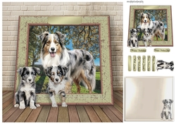 Aussie family