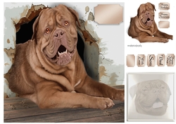 Dogue de bordeaux