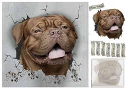 (Dogue de bordeaux) you called