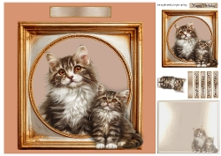 kitty