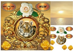 tiger (2)