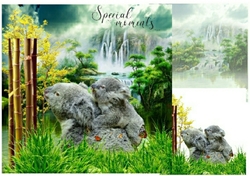 special moments
