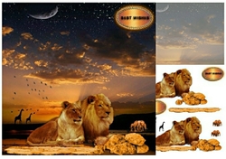 lions
