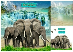 elephants