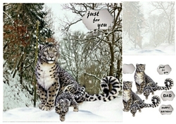 snow leopard
