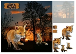 foxes