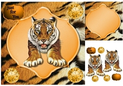 tiger and diamonds