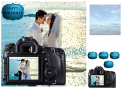 the wedding photographer 
