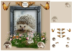 hedgehog