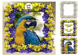 parrot and flowers