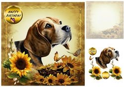 sunflowers and dog