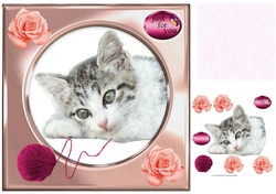 kitten with wool