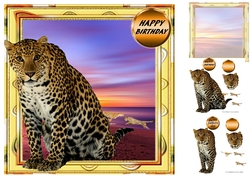 big cats
