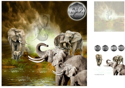 elephants having fun