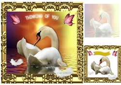 thinking of you 