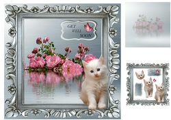 roses and kitten