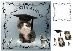 concatulations