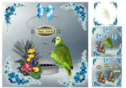 parrot and cage