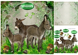 donkey family